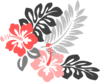 Hibiscus Coral Grey Clip Art