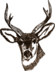 Deer Clip Art