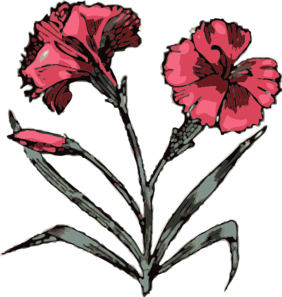Clavel Clip Art