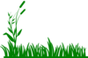 Green Grass  Clip Art