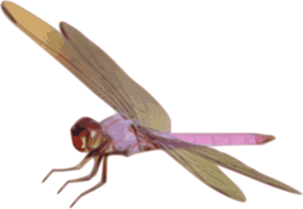 dragonfly clipart - photo #40