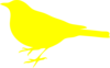 Little Yellow Bird  Clip Art