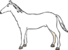 Horse Outline Clip Art