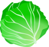 Cabbage