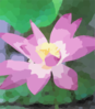 Lotus Flower Clip Art