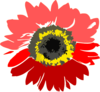 Red Sun Flower Clip Art