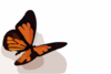 Dbutterfly Tattoo Clip Art