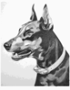 Dog Portrait Clip Art