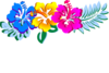 Hibiscus Sophia Clip Art