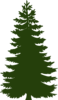 Dark Green Pine Tree Clip Art