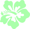 Hibiscus Mint Green Clip Art
