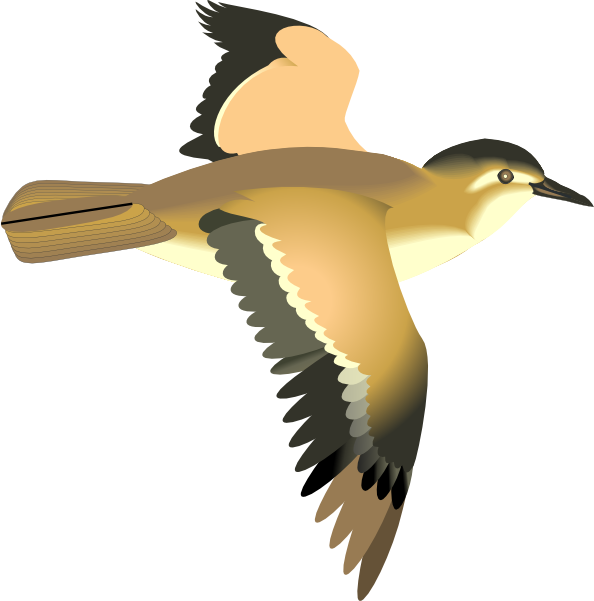 clipart flying birds - photo #3