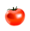 Red Tomato  Clip Art