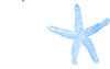 Reversed Single Starfish Aqua Clip Art