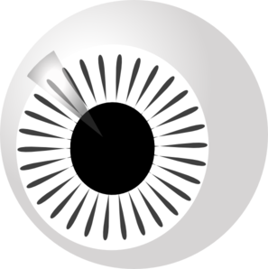 Zebra Eye Left Clip Art