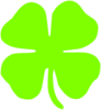 Shamrock Clip Art