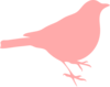 Bird Clip Art