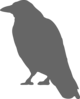 Gray Crow Clip Art