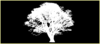 White Tree On Black Clip Art