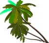 Palm Logo Clip Art