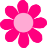 Pink Daisy Flower 2 Clip Art