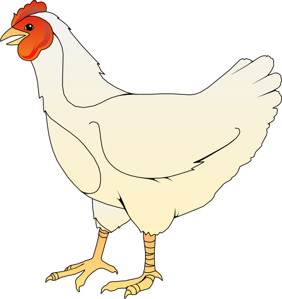 clipart of chicken - photo #3