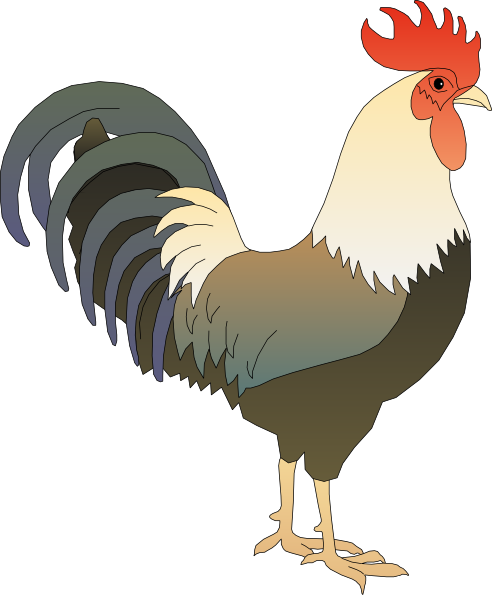 rooster animation clipart - photo #23