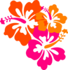 Hibiscus Clip Art