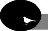 White Bird On Black Background Clip Art