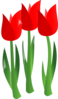 Red Tulips Clip Art