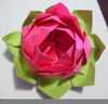 Origami Lotus Image