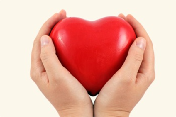 free clipart heart in hand - photo #18
