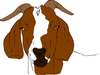 Boer Goats Clipart Image
