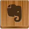 Evernote Icon Image