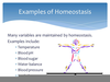 Homeostasis Examples Image