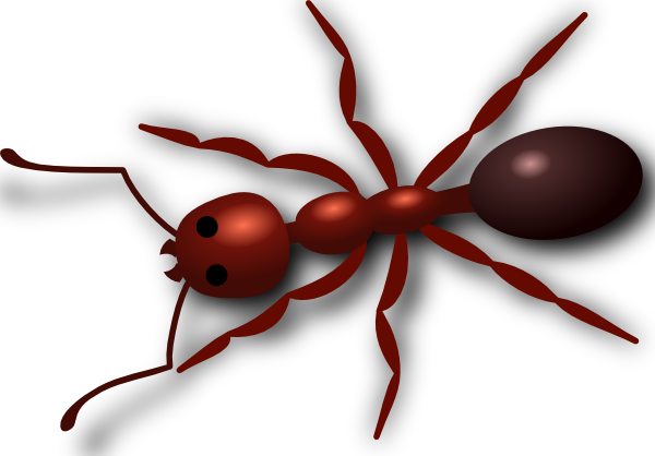 fire ant clipart - photo #2
