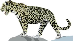 Jaguar 3 Clip Art