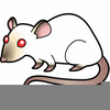 Clipart Rat Image