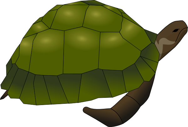 clipart of turtle - photo #34