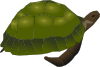 Turtle Clip Art