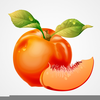 Free Clipart Of Georgia Peach Image