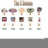 Senses Clipart Image