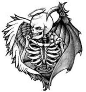 Skull Image