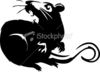 Stock Illustration Hissing Rat Image