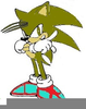 Joey The Hedgehog Image