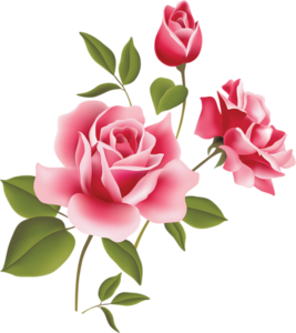 Flower Rose Pink Three Free Images At Clker Com Vector Clip Art Online Royalty Free Public Domain