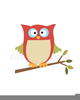 Modern Owl Clipart Free Image