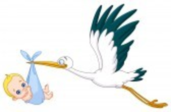 baby boy stork clipart - photo #26