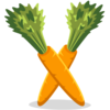 Carrots Icon Image