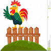 Rooster Illustrations Clipart Image